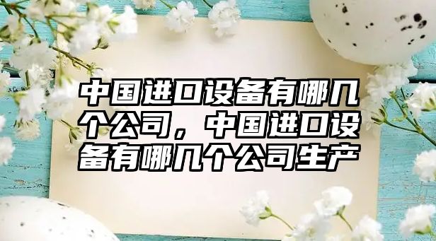 中國進(jìn)口設備有哪幾個(gè)公司，中國進(jìn)口設備有哪幾個(gè)公司生產(chǎn)