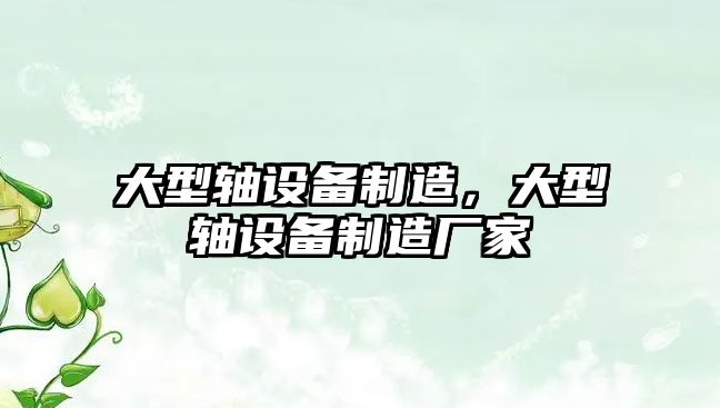 大型軸設備制造，大型軸設備制造廠(chǎng)家