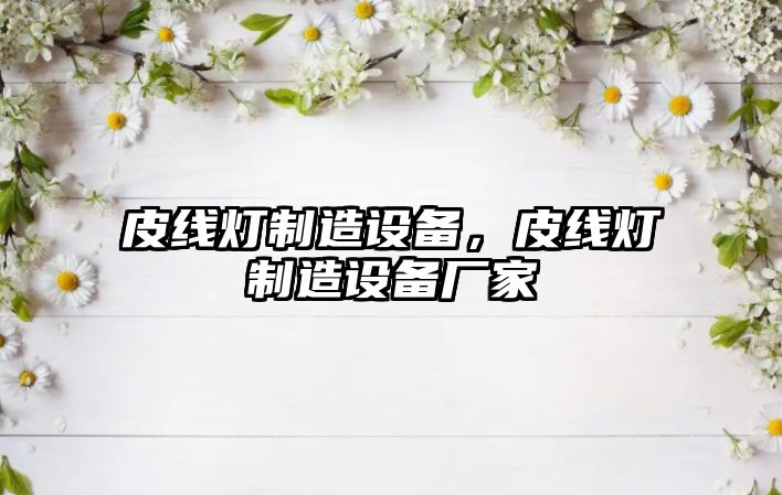 皮線(xiàn)燈制造設備，皮線(xiàn)燈制造設備廠(chǎng)家