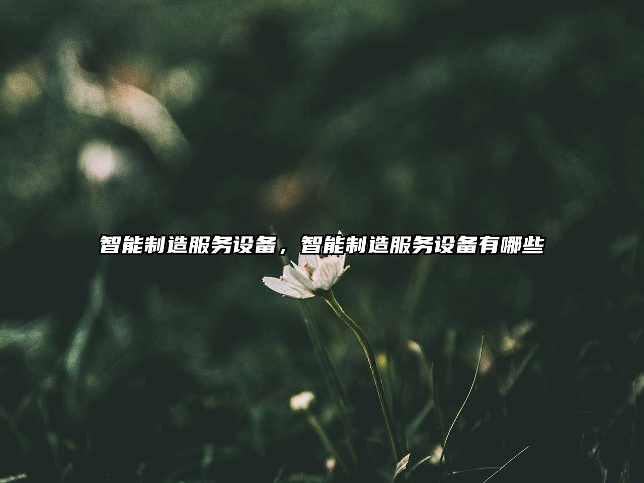 智能制造服務(wù)設備，智能制造服務(wù)設備有哪些