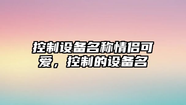 控制設備名稱(chēng)情侶可愛(ài)，控制的設備名