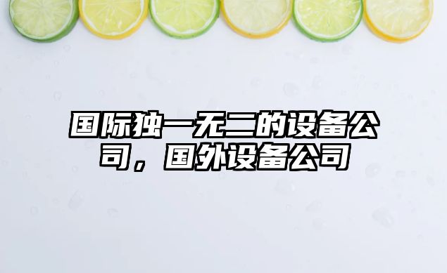 國際獨一無(wú)二的設備公司，國外設備公司