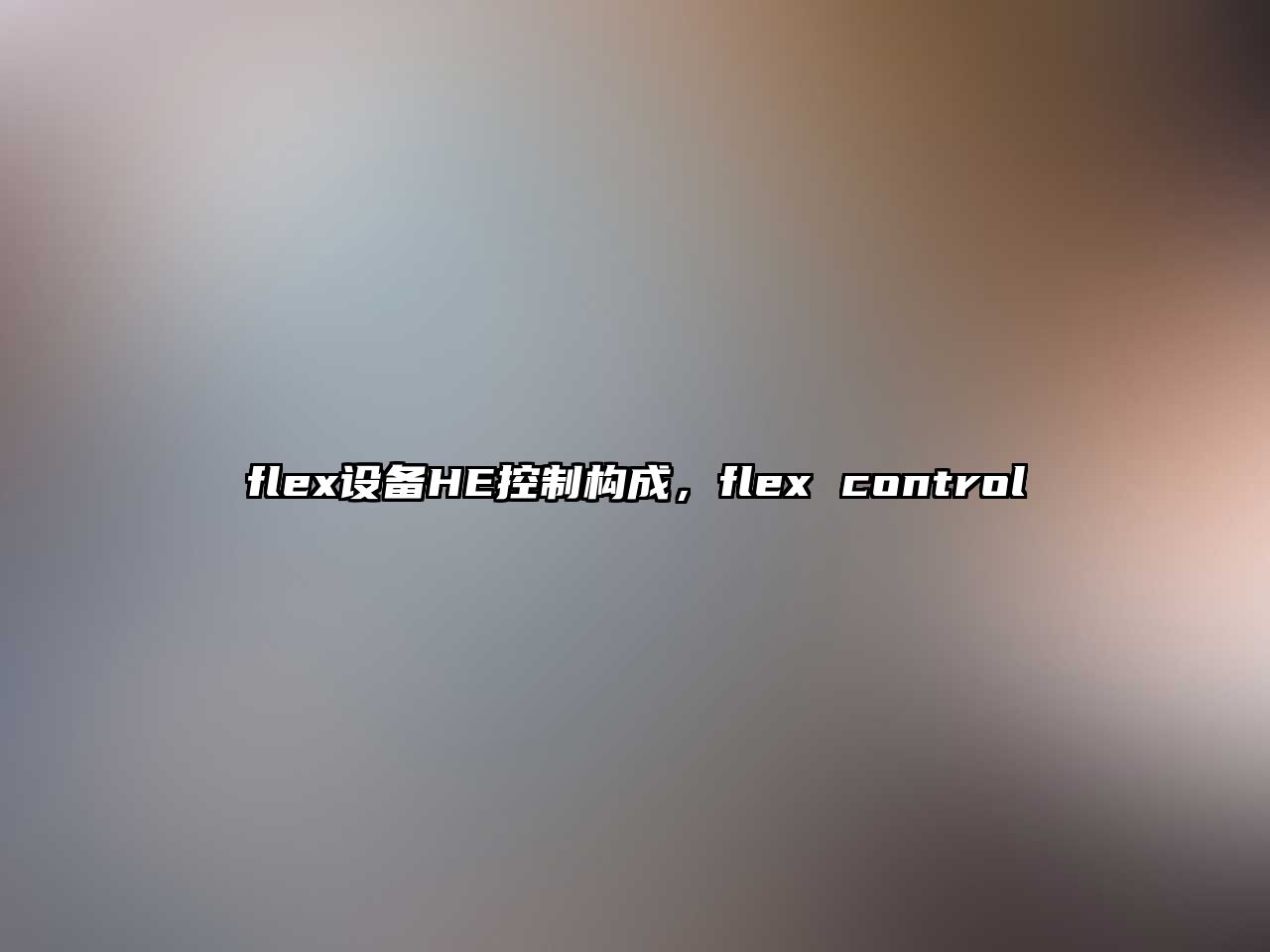 flex設備HE控制構成，flex control