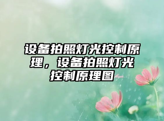 設備拍照燈光控制原理，設備拍照燈光控制原理圖