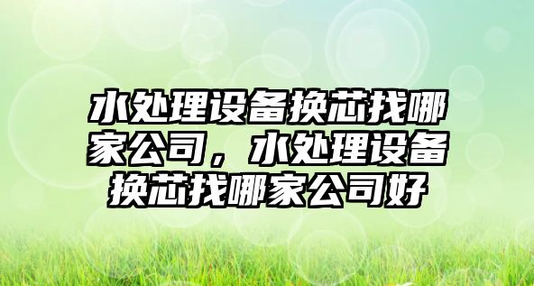 水處理設備換芯找哪家公司，水處理設備換芯找哪家公司好