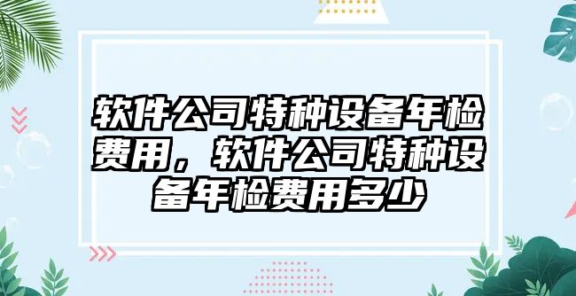 軟件公司特種設備年檢費用，軟件公司特種設備年檢費用多少