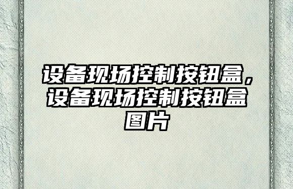 設備現場(chǎng)控制按鈕盒，設備現場(chǎng)控制按鈕盒圖片