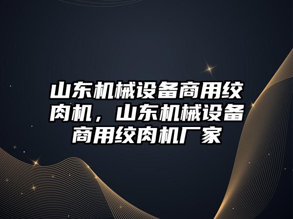 山東機械設備商用絞肉機，山東機械設備商用絞肉機廠(chǎng)家