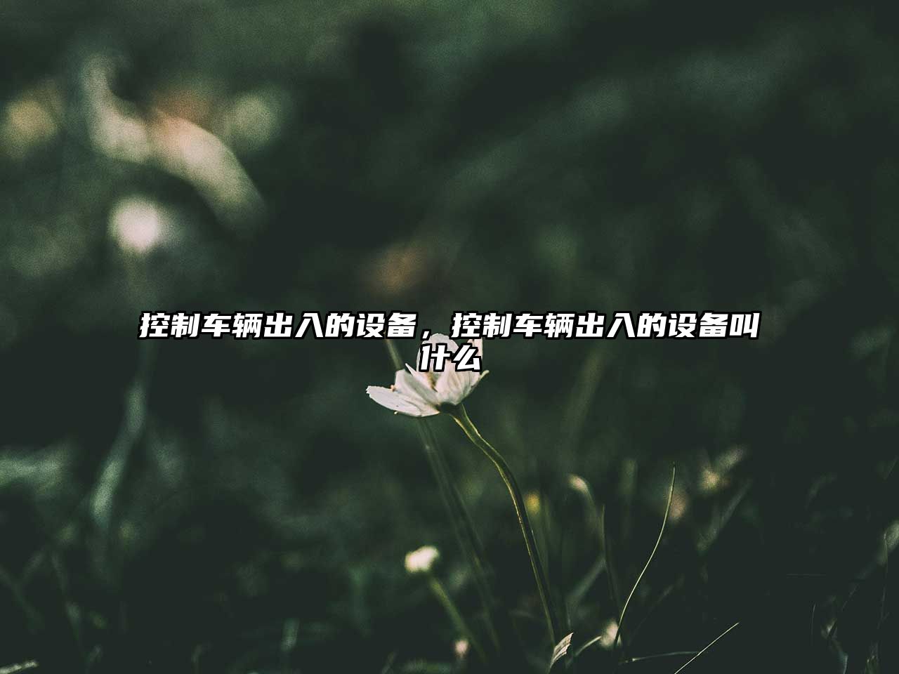 控制車(chē)輛出入的設備，控制車(chē)輛出入的設備叫什么