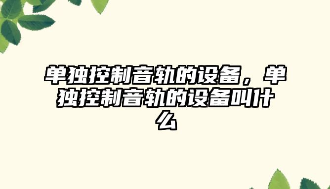 單獨控制音軌的設備，單獨控制音軌的設備叫什么