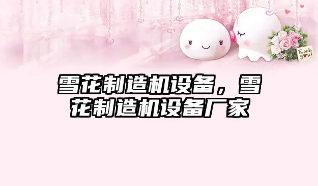 雪花制造機設備，雪花制造機設備廠(chǎng)家