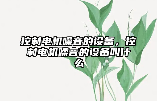 控制電機噪音的設備，控制電機噪音的設備叫什么