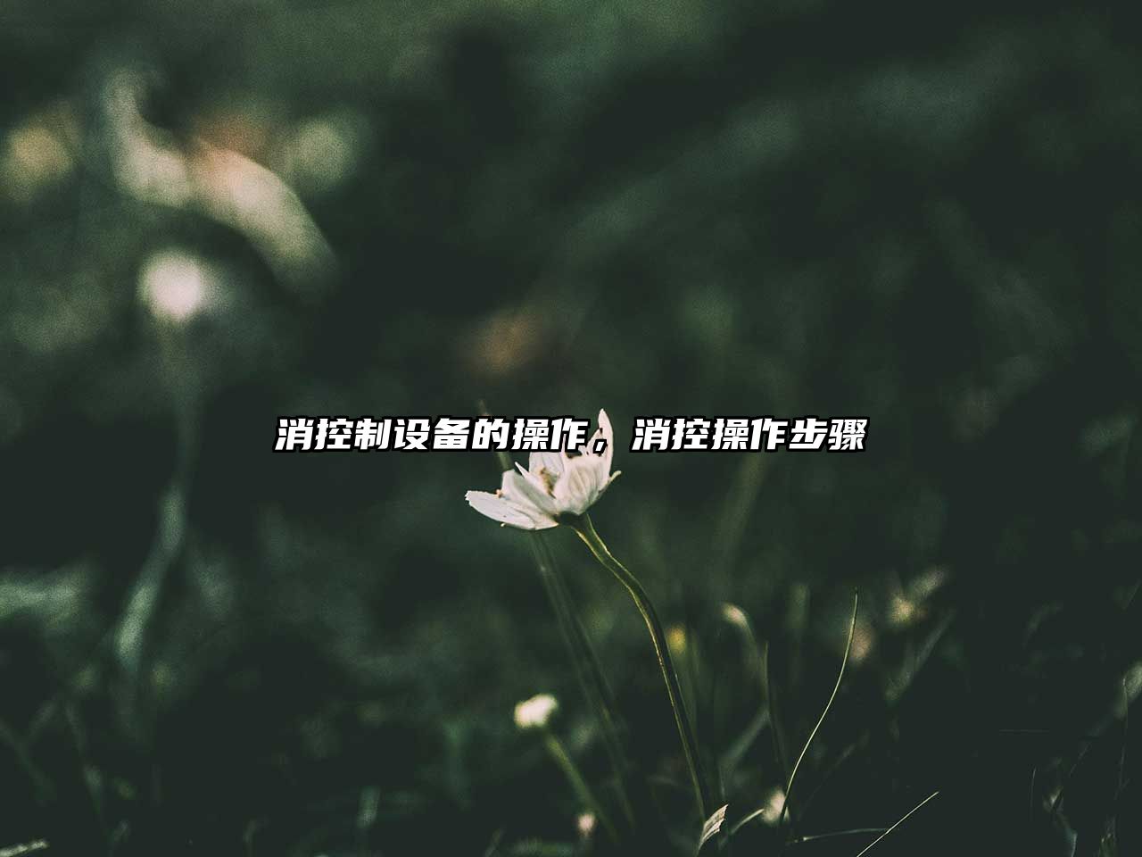 消控制設備的操作，消控操作步驟