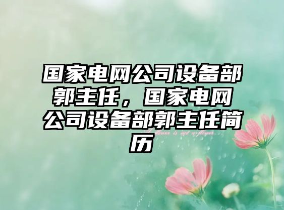 國家電網(wǎng)公司設備部郭主任，國家電網(wǎng)公司設備部郭主任簡(jiǎn)歷