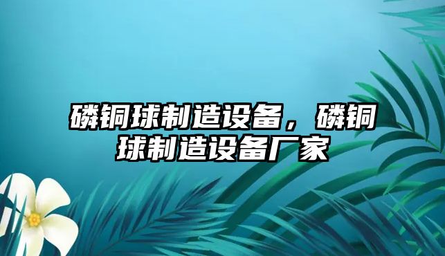 磷銅球制造設備，磷銅球制造設備廠(chǎng)家