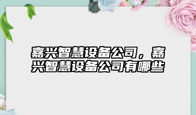 嘉興智慧設備公司，嘉興智慧設備公司有哪些
