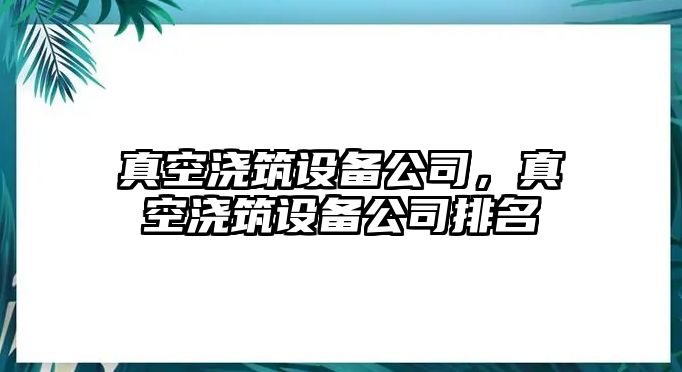 真空澆筑設備公司，真空澆筑設備公司排名