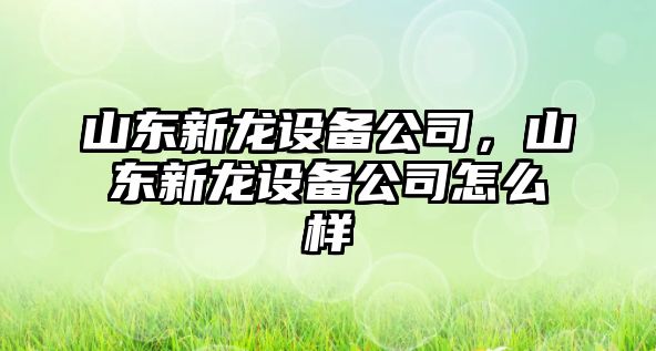 山東新龍設備公司，山東新龍設備公司怎么樣