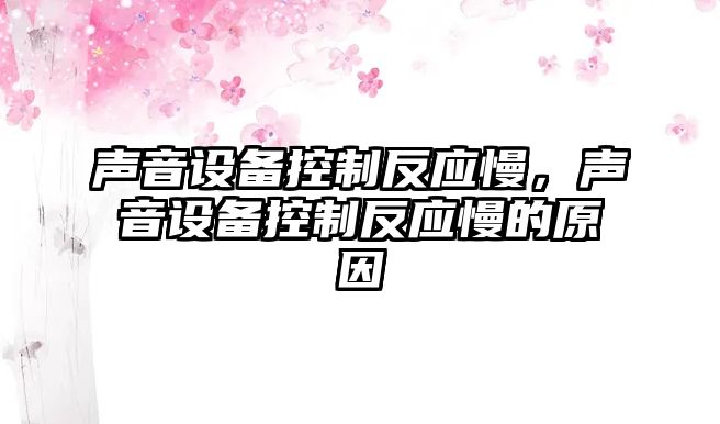 聲音設備控制反應慢，聲音設備控制反應慢的原因