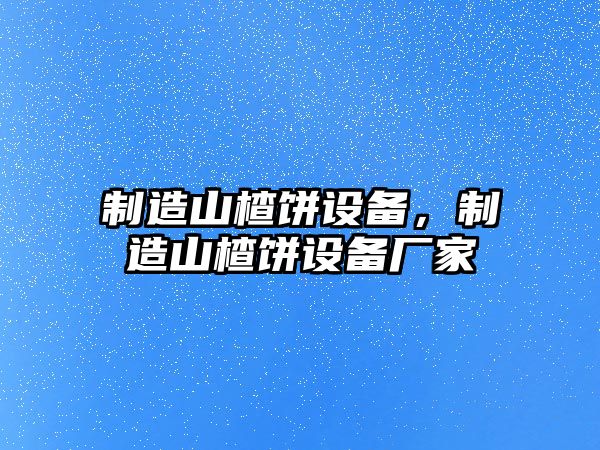 制造山楂餅設備，制造山楂餅設備廠(chǎng)家